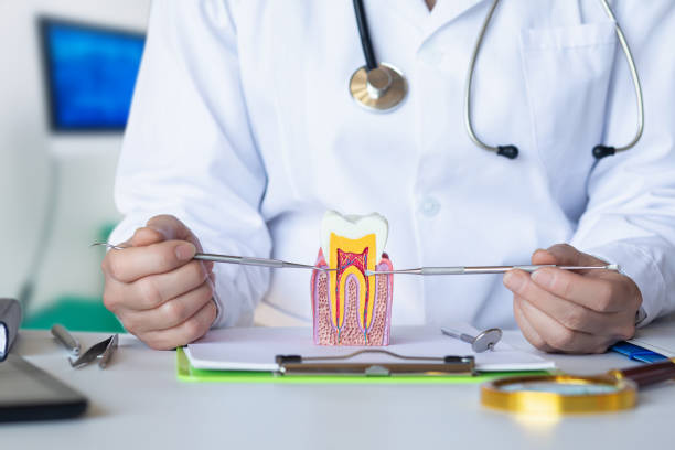 Best Cosmetic Emergency Dentistry in Bonny Doon, CA